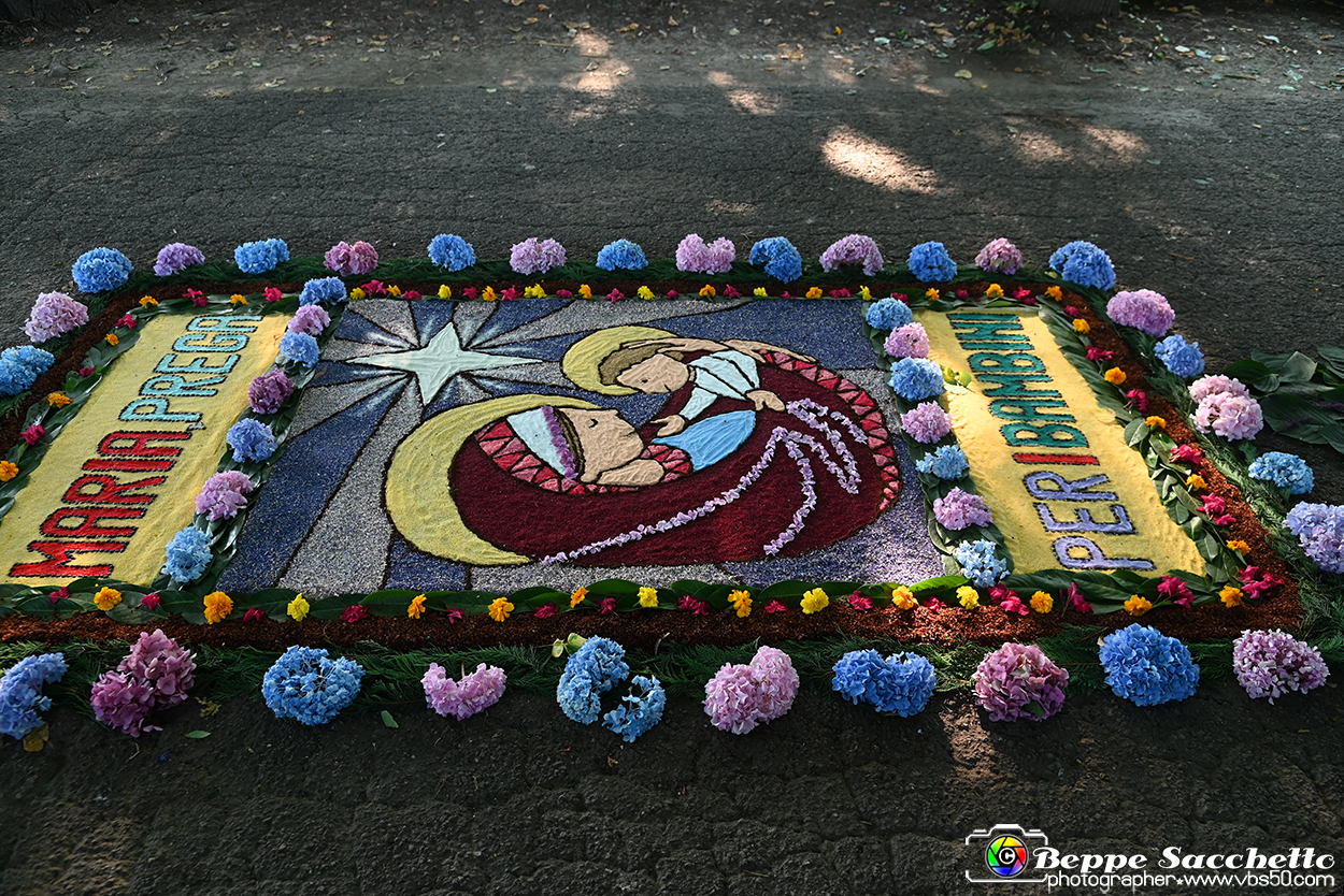 VBS_9761 - Infiorata Santuario della Madonnina di Villanova d'Asti 2024.jpg